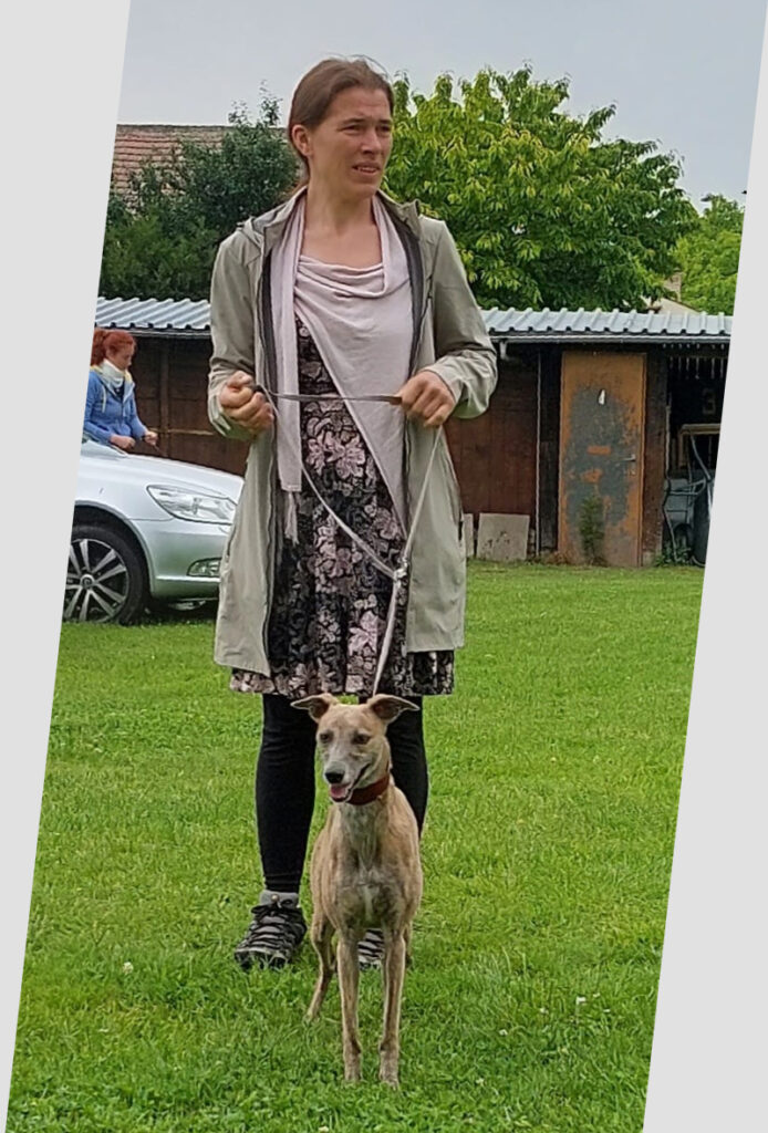 Whippethündin Diane